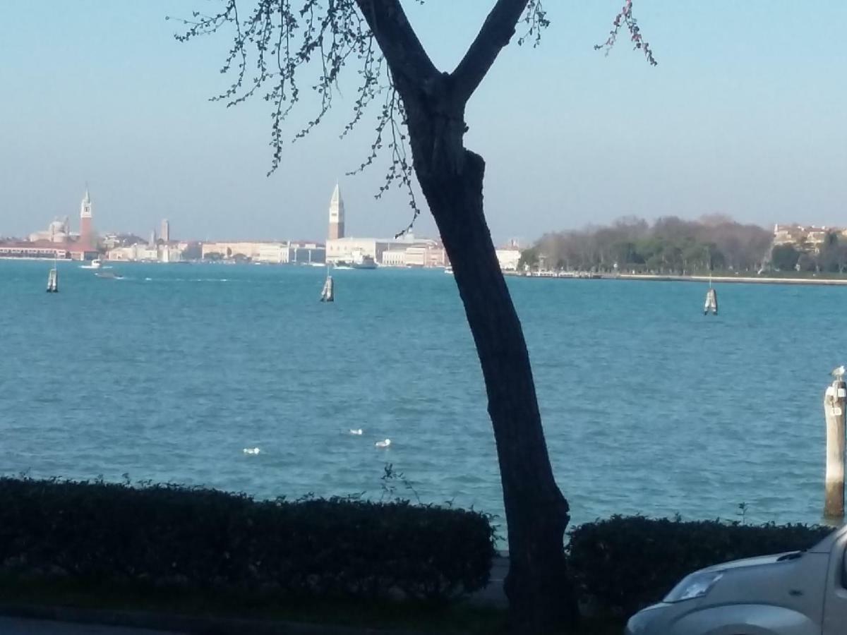 Bellavista Sanmarco Venice And Lagoon View 威尼斯丽都 外观 照片