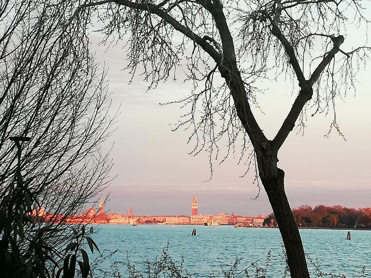 Bellavista Sanmarco Venice And Lagoon View 威尼斯丽都 外观 照片